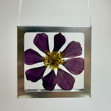 Load image into Gallery viewer, Nature Windows: Single Flower