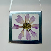 Load image into Gallery viewer, Nature Windows: Single Flower