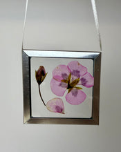 Load image into Gallery viewer, Nature Windows: Arranged Flowers