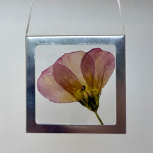 Load image into Gallery viewer, Nature Windows: Single Flower