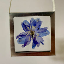 Load image into Gallery viewer, Nature Windows: Single Flower