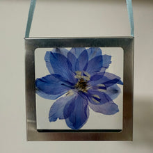 Load image into Gallery viewer, Nature Windows: Single Flower