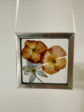 Load image into Gallery viewer, Nature Windows: Arranged Flowers
