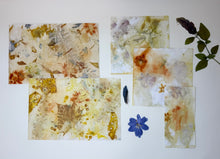 Load image into Gallery viewer, Bookmaking Class: Coptic Stitch Nature Journal