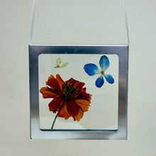 Load image into Gallery viewer, Nature Windows: Arranged Flowers