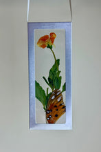 Load image into Gallery viewer, Nature Windows: Arranged Flowers