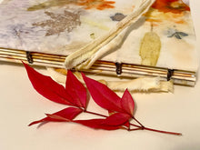 Load image into Gallery viewer, Bookmaking Class: Coptic Stitch Nature Journal