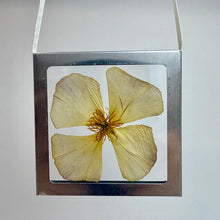 Load image into Gallery viewer, Nature Windows: Single Flower