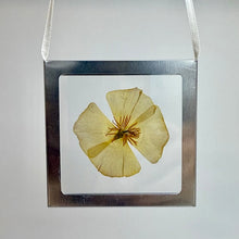 Load image into Gallery viewer, Nature Windows: Single Flower