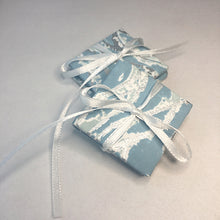 Load image into Gallery viewer, Little Minis