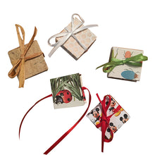 Load image into Gallery viewer, Little Minis