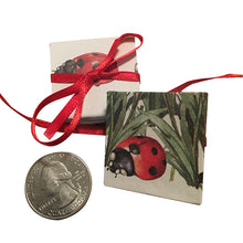 Load image into Gallery viewer, Little Minis