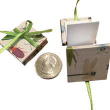 Load image into Gallery viewer, Little Minis