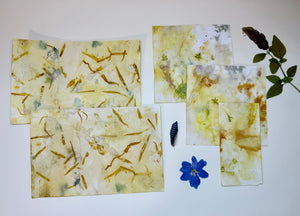 Bookmaking Class: Coptic Stitch Nature Journal
