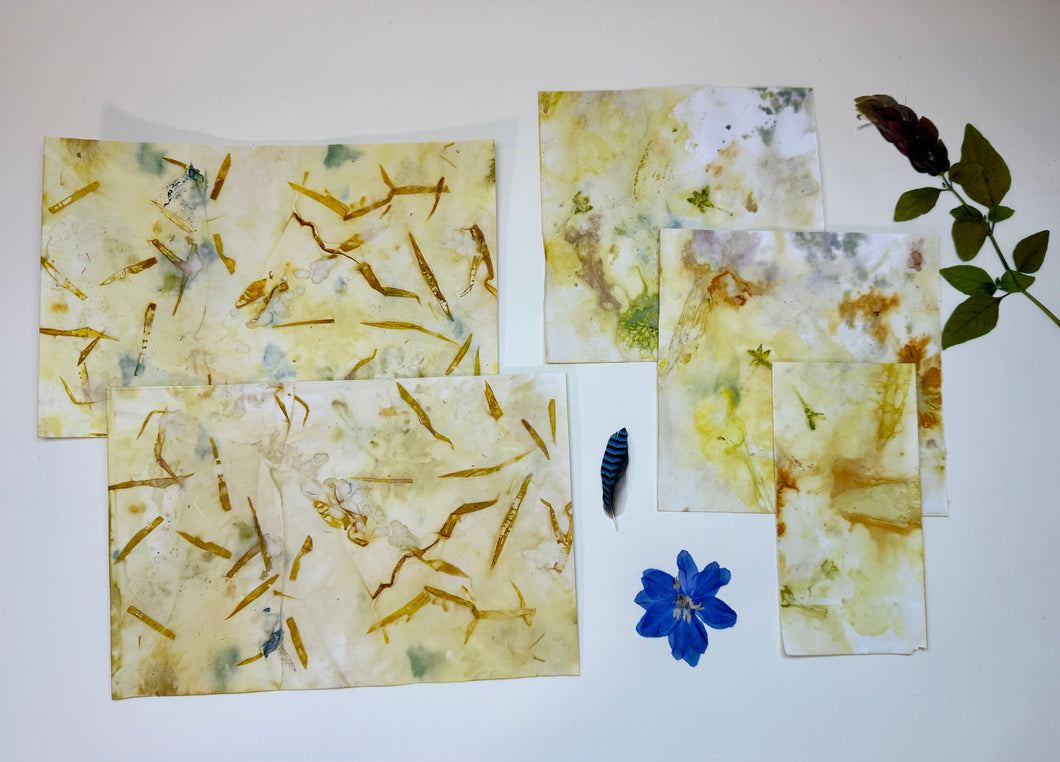 Bookmaking Online Class: Coptic Stitch Nature Journal Kit Options