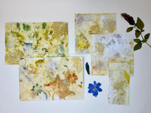 Load image into Gallery viewer, Bookmaking Online Class: Coptic Stitch Nature Journal Kit Options