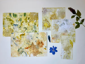Bookmaking Online Class: Coptic Stitch Nature Journal Kit Options