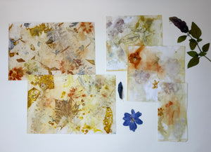 Bookmaking Class: Coptic Stitch Nature Journal