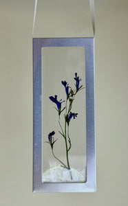 Nature Windows: Arranged Flowers