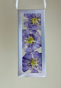 Nature Windows: Arranged Flowers