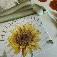 Load image into Gallery viewer, Travelers Pack Press Books