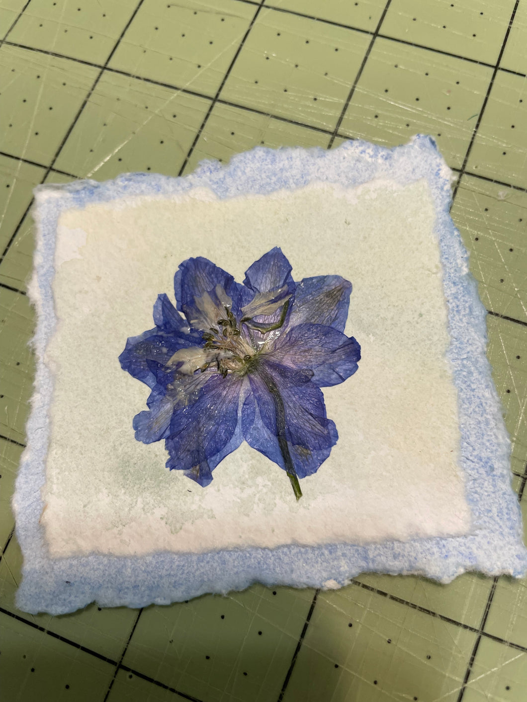 Free Download: Flower Pressing Tips