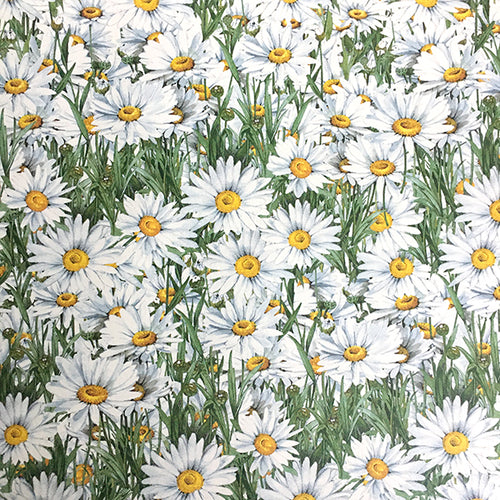 Summer Daisies Flat  Wrap