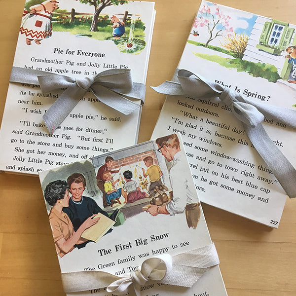 Accordion Book with Vintage Reader Covers